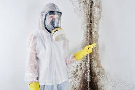 Professional Mold Inspection in East Palo Alto, CA